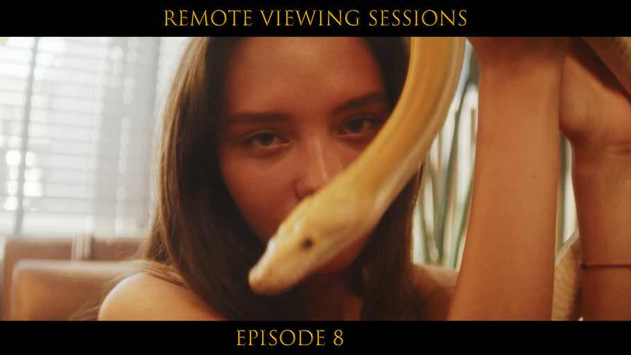 Remote Viewing Sessions - Series Episode 8 - Pretty Pictures - Nat Bradley - Video Art