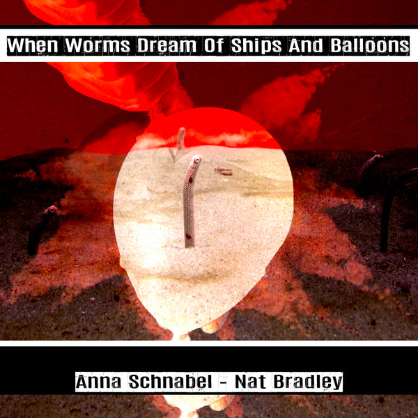 When Worms Dream Of Ships And Balloons - Anna Schnabel - Nat Bradley